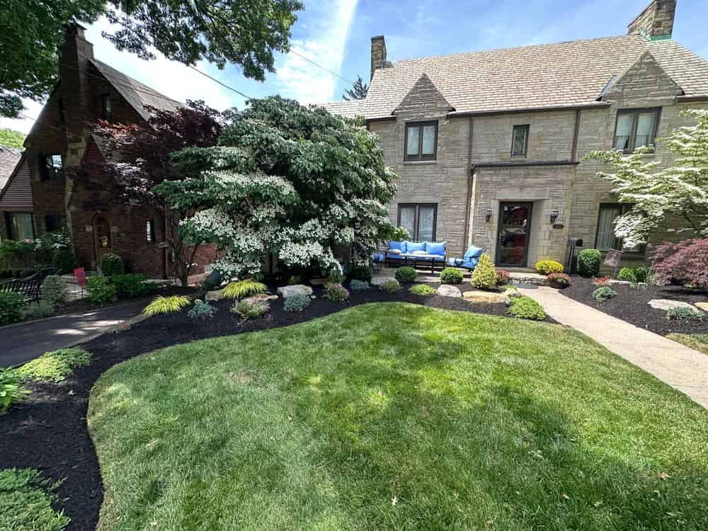 Lawn Care Services image